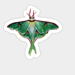 Luna Moth Sticker